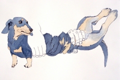 Dachshund