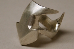 Shark RIng